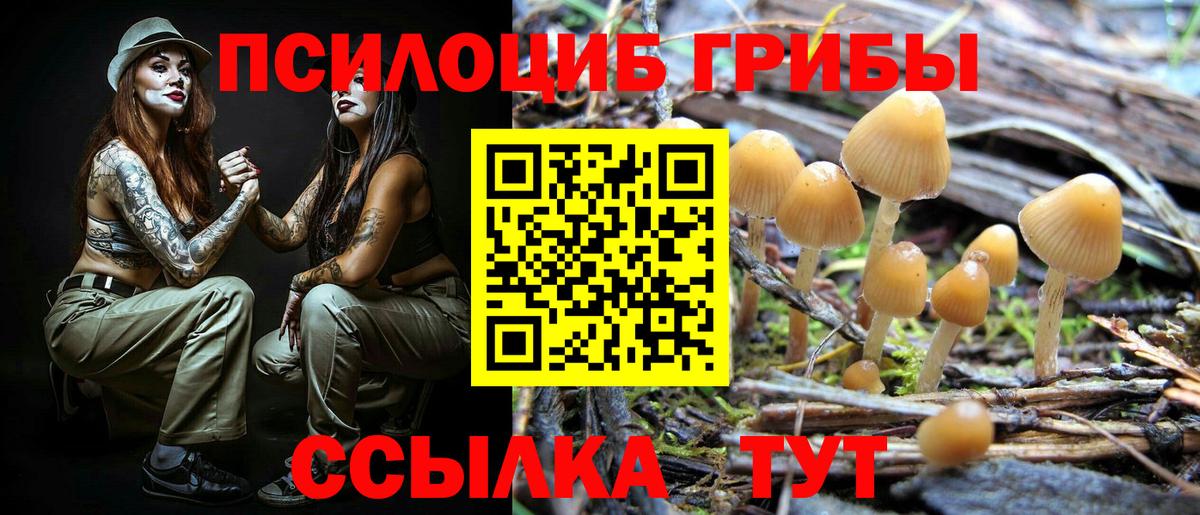 Хасавюрт  Псилоцибиновые грибы Magic Shrooms  Вход с VPN 