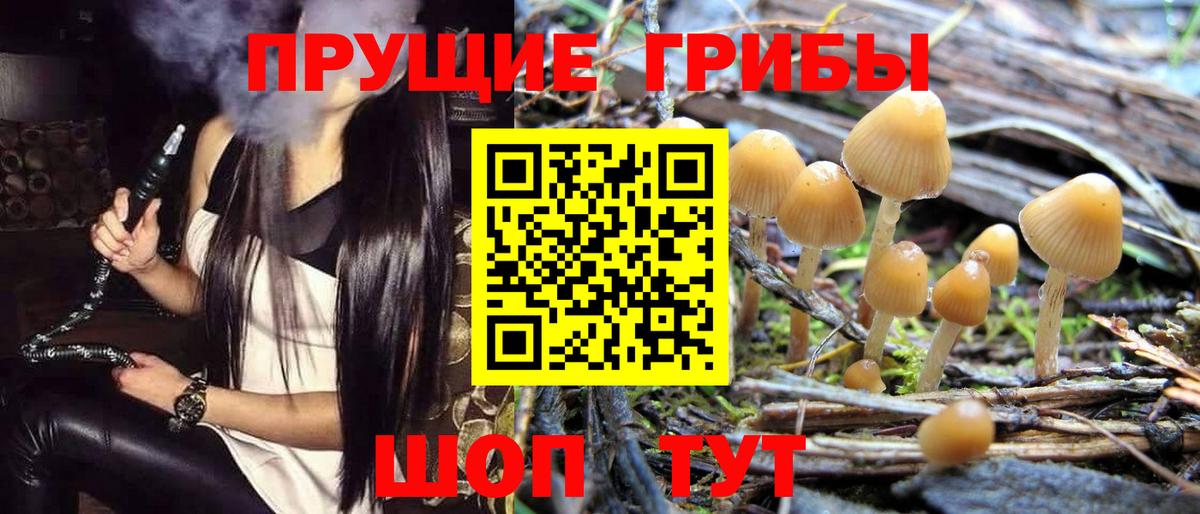 Галлюциногенные грибы мухоморы Хасавюрт